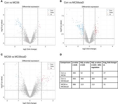 The phosphoproteome of choroid plexus epithelial cells following infection with Neisseria meningitidis